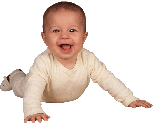 Banner/Posting Generator Vienna